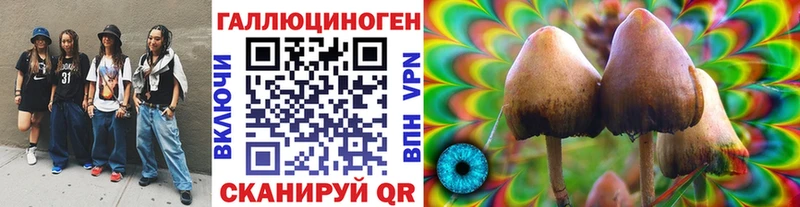 МЕГА сайт Рошаль Псилоцибиновые грибы Cubensis